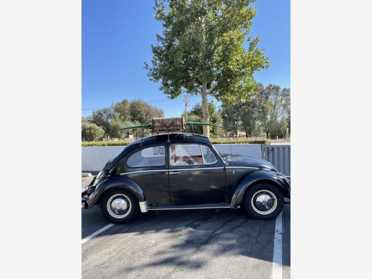 Thumbnail Photo undefined for 1966 Volkswagen Beetle Coupe